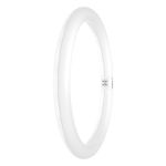 Osram LED Rör T9 Cirkulär (EM/Mains) 18.3W 2200lm - 865 Dagsljus | Ersättare 32W